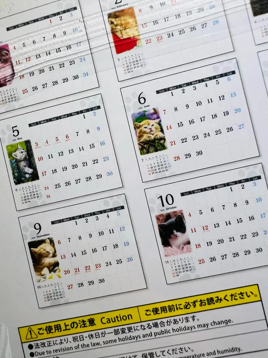 thumbnail-1
